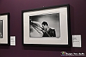 VBS_1774 - Mostra Peter Hince - Queen Experience